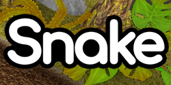 Snake, A PlayStation 1 Homebrew Game